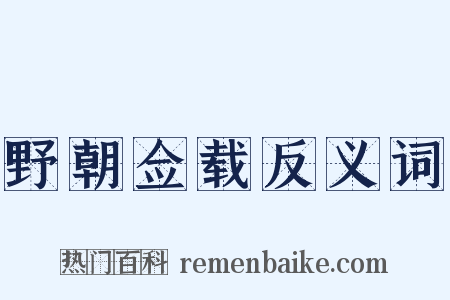 野朝佥载反义词是什么意思的图片